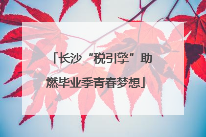 长沙“税引擎”助燃毕业季青春梦想