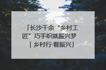 长沙千余“乡村工匠”巧手织就振兴梦｜乡村行·看振兴