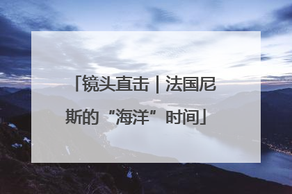 镜头直击｜法国尼斯的“海洋”时间
