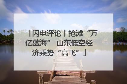 闪电评论丨抢滩“万亿蓝海” 山东低空经济乘势“高飞”