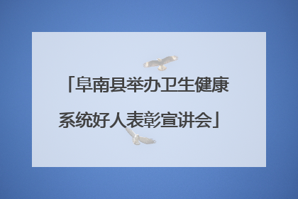 阜南县举办卫生健康系统好人表彰宣讲会