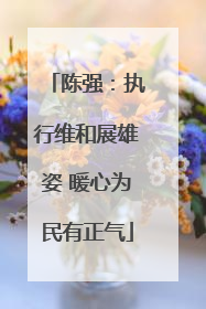 陈强：执行维和展雄姿 暖心为民有正气