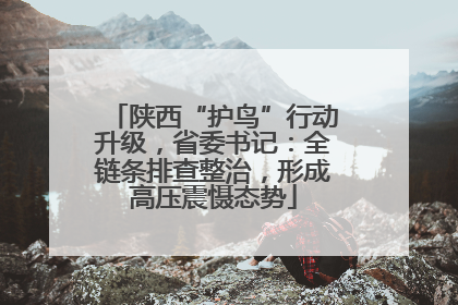 陕西“护鸟”行动升级，省委书记：全链条排查整治，形成高压震慑态势