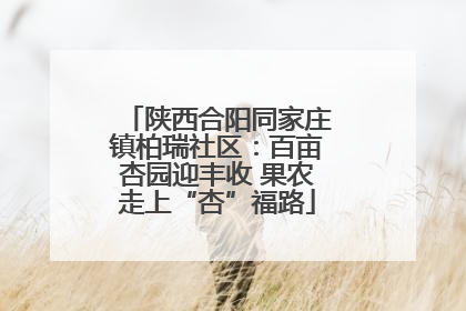 陕西合阳同家庄镇柏瑞社区：百亩杏园迎丰收 果农走上“杏”福路