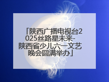 陕西广播电视台2025丝路星未来-陕西省少儿六一文艺晚会圆满举办