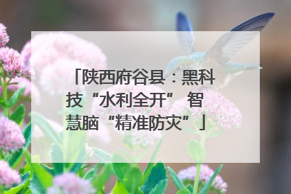 陕西府谷县：黑科技“水利全开” 智慧脑“精准防灾”