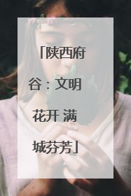 陕西府谷：文明花开 满城芬芳