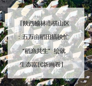 陕西榆林市横山区：五万亩稻田插秧忙 “稻渔共生”绘就生态富民新画卷