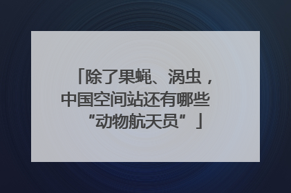 除了果蝇、涡虫，中国空间站还有哪些“动物航天员”