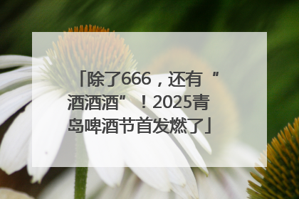 除了666，还有“酒酒酒”！2025青岛啤酒节首发燃了