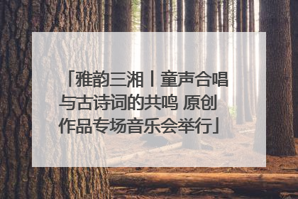雅韵三湘丨童声合唱与古诗词的共鸣 原创作品专场音乐会举行