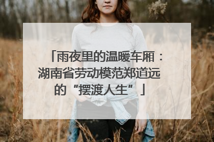 雨夜里的温暖车厢：湖南省劳动模范郑道远的“摆渡人生”