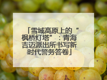 雪域高原上的“枫桥灯塔”：青海吉迈派出所书写新时代警务答卷