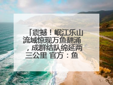 震撼！岷江乐山流域惊现万鱼翻涌，成群结队绵延两三公里 官方：鱼群在此产卵