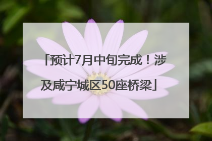 预计7月中旬完成！涉及咸宁城区50座桥梁
