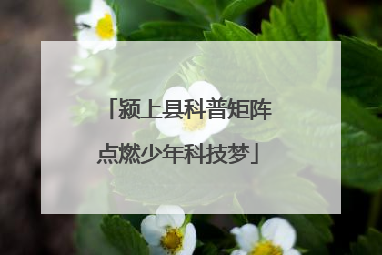 颍上县科普矩阵点燃少年科技梦