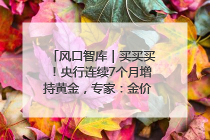风口智库｜买买买！央行连续7个月增持黄金，专家：金价或仍易涨难跌