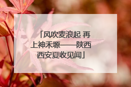 风吹麦浪起 再上神禾塬——陕西西安夏收见闻