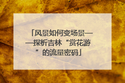 风景如何变场景——探析吉林“赏花游”的流量密码