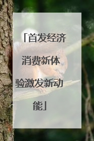 首发经济 消费新体验激发新动能
