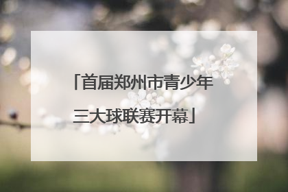 首届郑州市青少年三大球联赛开幕