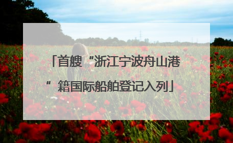 首艘“浙江宁波舟山港”籍国际船舶登记入列