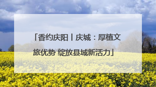 香约庆阳丨庆城：厚植文旅优势 绽放县域新活力