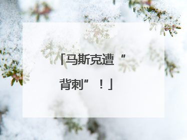 马斯克遭“背刺”！