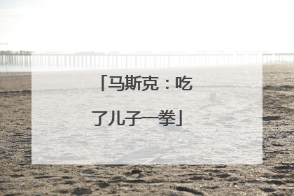 马斯克：吃了儿子一拳