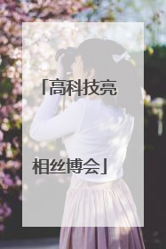 高科技亮相丝博会