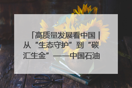 高质量发展看中国｜从“生态守护”到“碳汇生金”——中国石油大庆油田绿色蝶变