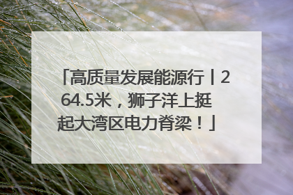 高质量发展能源行丨264.5米，狮子洋上挺起大湾区电力脊梁！