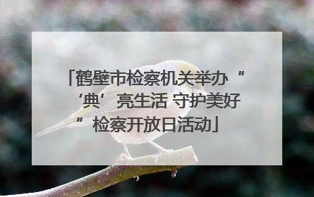 鹤壁市检察机关举办“‘典’亮生活 守护美好”检察开放日活动