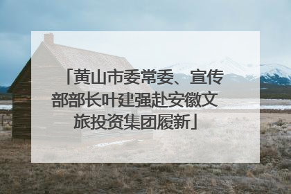 黄山市委常委、宣传部部长叶建强赴安徽文旅投资集团履新