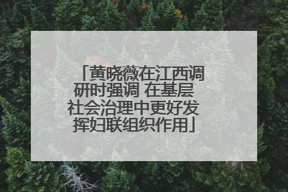 黄晓薇在江西调研时强调 在基层社会治理中更好发挥妇联组织作用