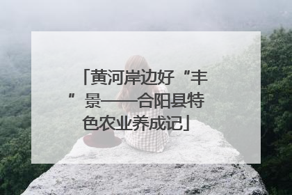 黄河岸边好“丰”景——合阳县特色农业养成记