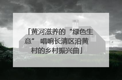 黄河滋养的“绿色生意” 唱响长清区沿黄村的乡村振兴曲