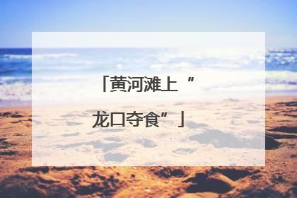 黄河滩上“龙口夺食”