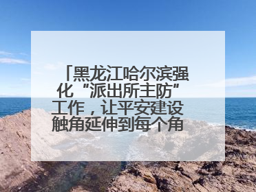 黑龙江哈尔滨强化“派出所主防”工作，让平安建设触角延伸到每个角落……