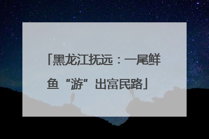 黑龙江抚远：一尾鲜鱼“游”出富民路
