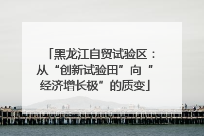 黑龙江自贸试验区：从“创新试验田”向“经济增长极”的质变