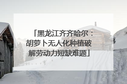 黑龙江齐齐哈尔：胡萝卜无人化种植破解劳动力短缺难题
