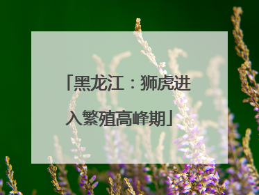 黑龙江：狮虎进入繁殖高峰期