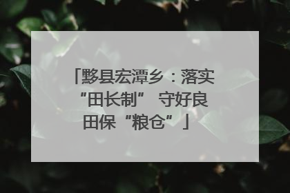 黟县宏潭乡：落实“田长制” 守好良田保“粮仓”