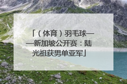 （体育）羽毛球——新加坡公开赛：陆光祖获男单亚军