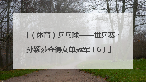 （体育）乒乓球——世乒赛：孙颖莎夺得女单冠军（6）
