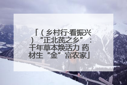 （乡村行·看振兴）“正北芪之乡”：千年草本焕活力 药材生“金”富农家