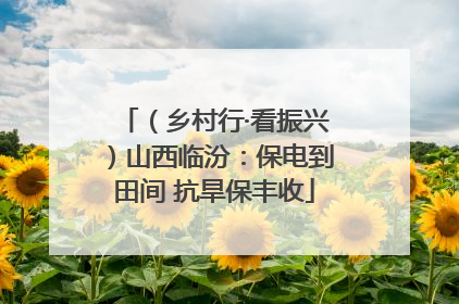 （乡村行·看振兴）山西临汾：保电到田间 抗旱保丰收