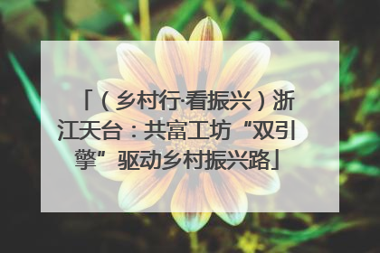 （乡村行·看振兴）浙江天台：共富工坊“双引擎”驱动乡村振兴路