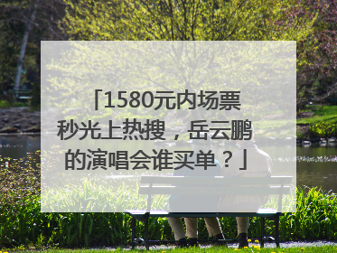 1580元内场票秒光上热搜，岳云鹏的演唱会谁买单？